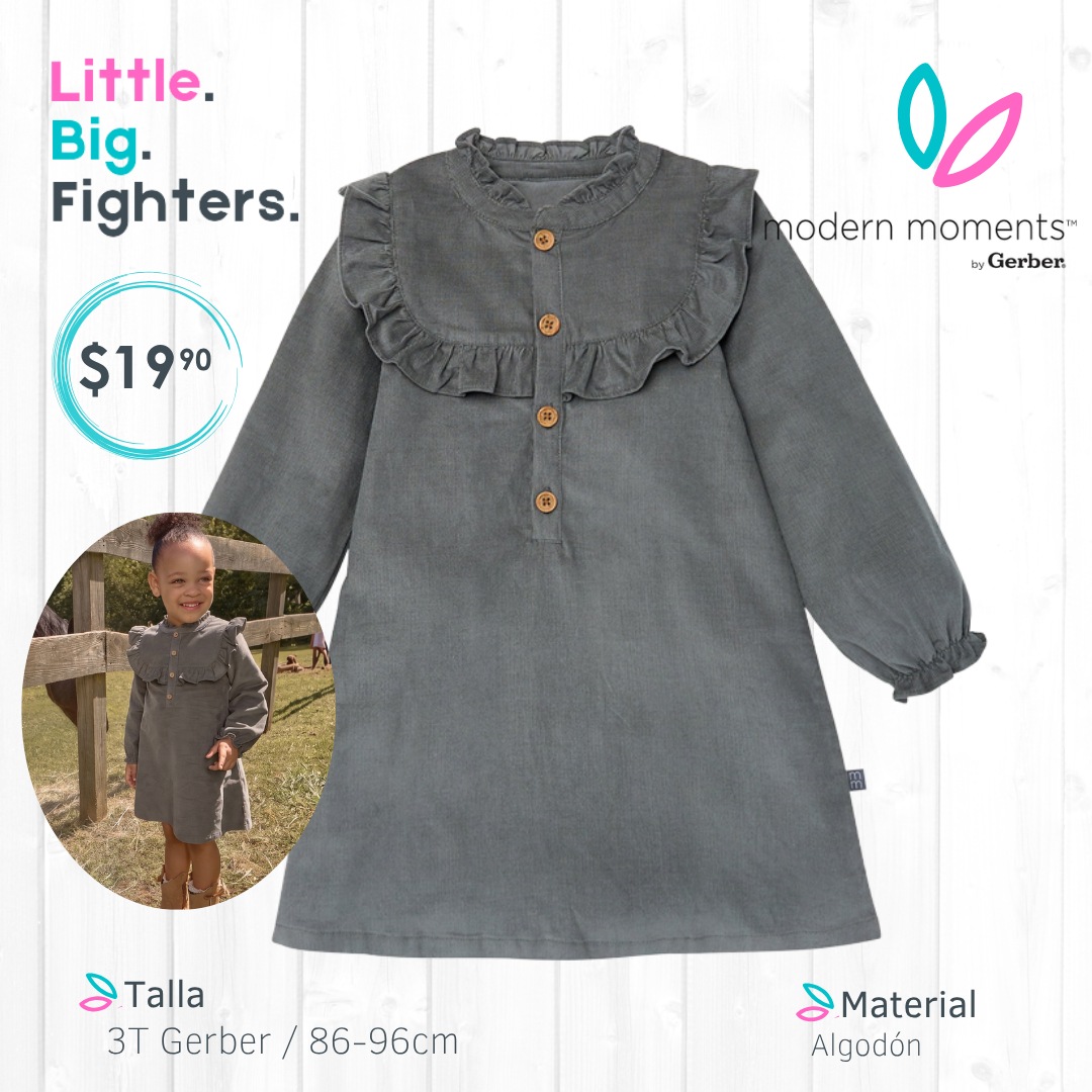 Vestido Gerber - Modern Moments / 3T